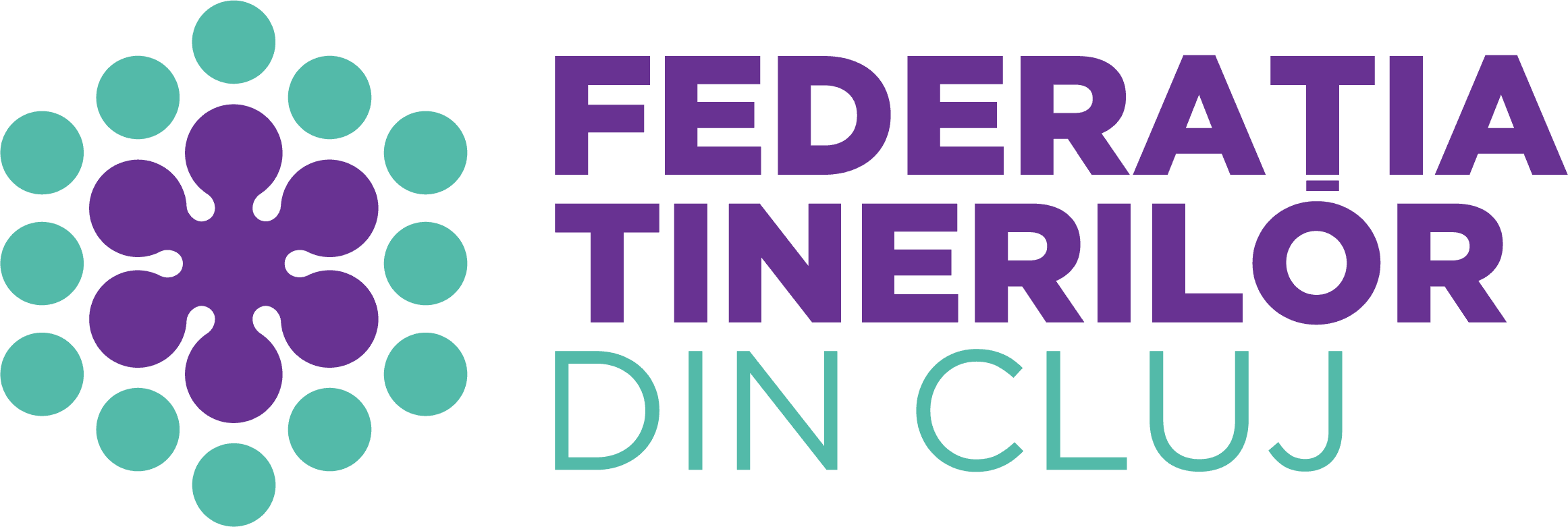 Federația Tinerilor din Cluj